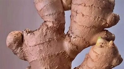 هل شرب الزنجبيل على الريق مفيد؟ أم عادة خاطئة؟