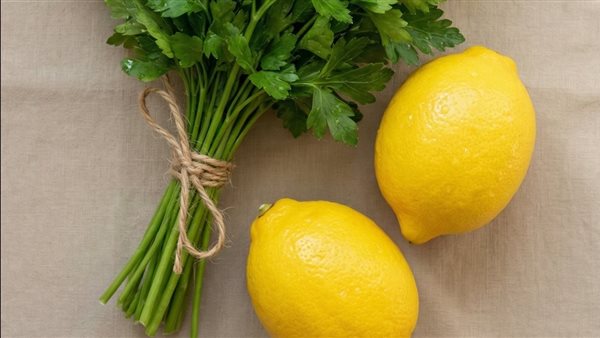 لمحة نيوز
