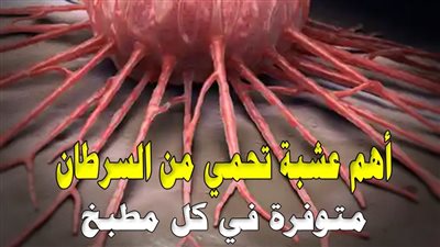 طبيب روسي يكشف عن أهم عشبة تحمي من السرطان .. موجودة في كل مطبخ