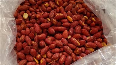 الفول السوداني الكنز الخفي لصحة الرجل وقوته